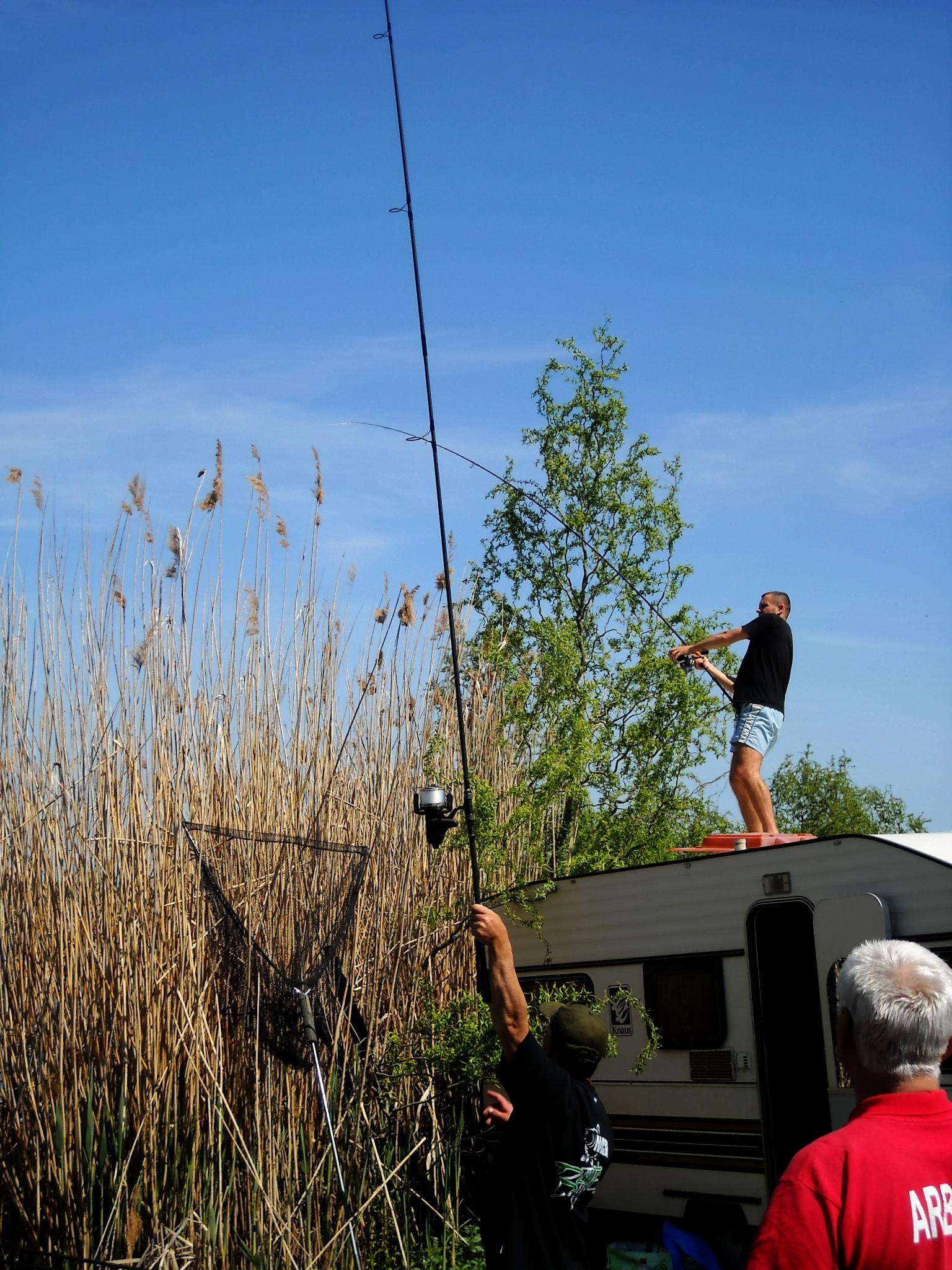 Best-2010 - crapmania-2010-085compressor.jpg